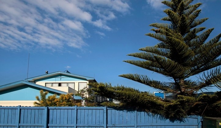 Early spring market for Auckland and Canterbury