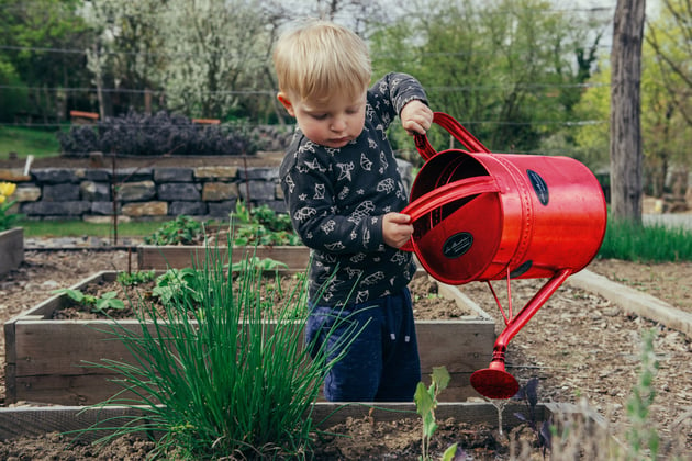 Red Watering Can