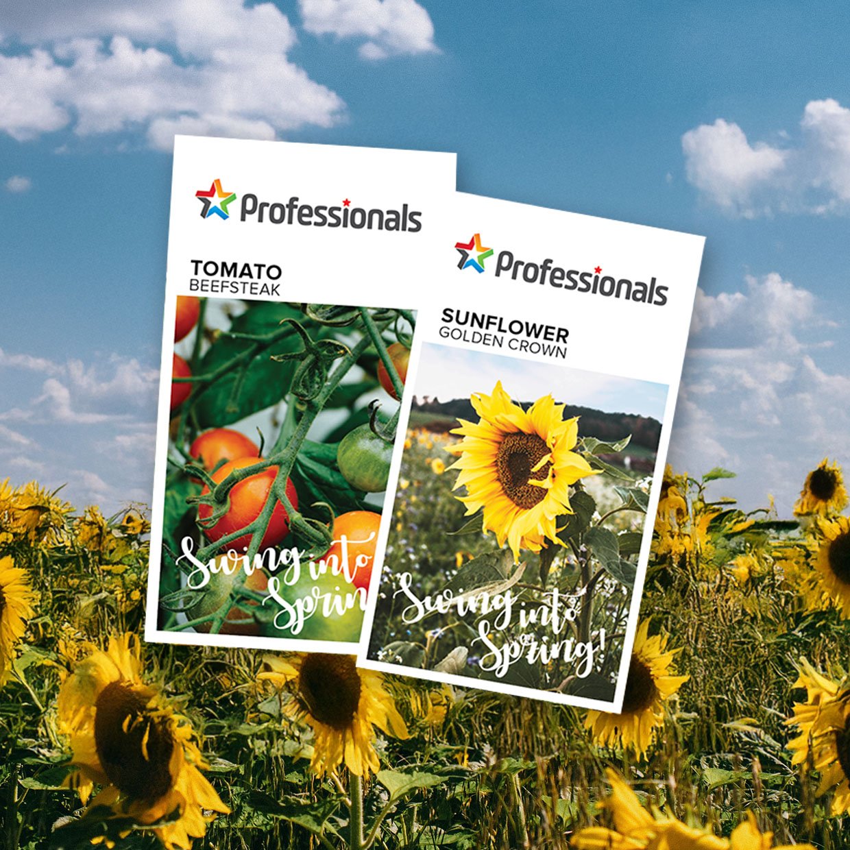 Seeds - Jacinda Dagger