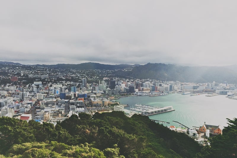 Wellington_City_New_Zealand_Houses